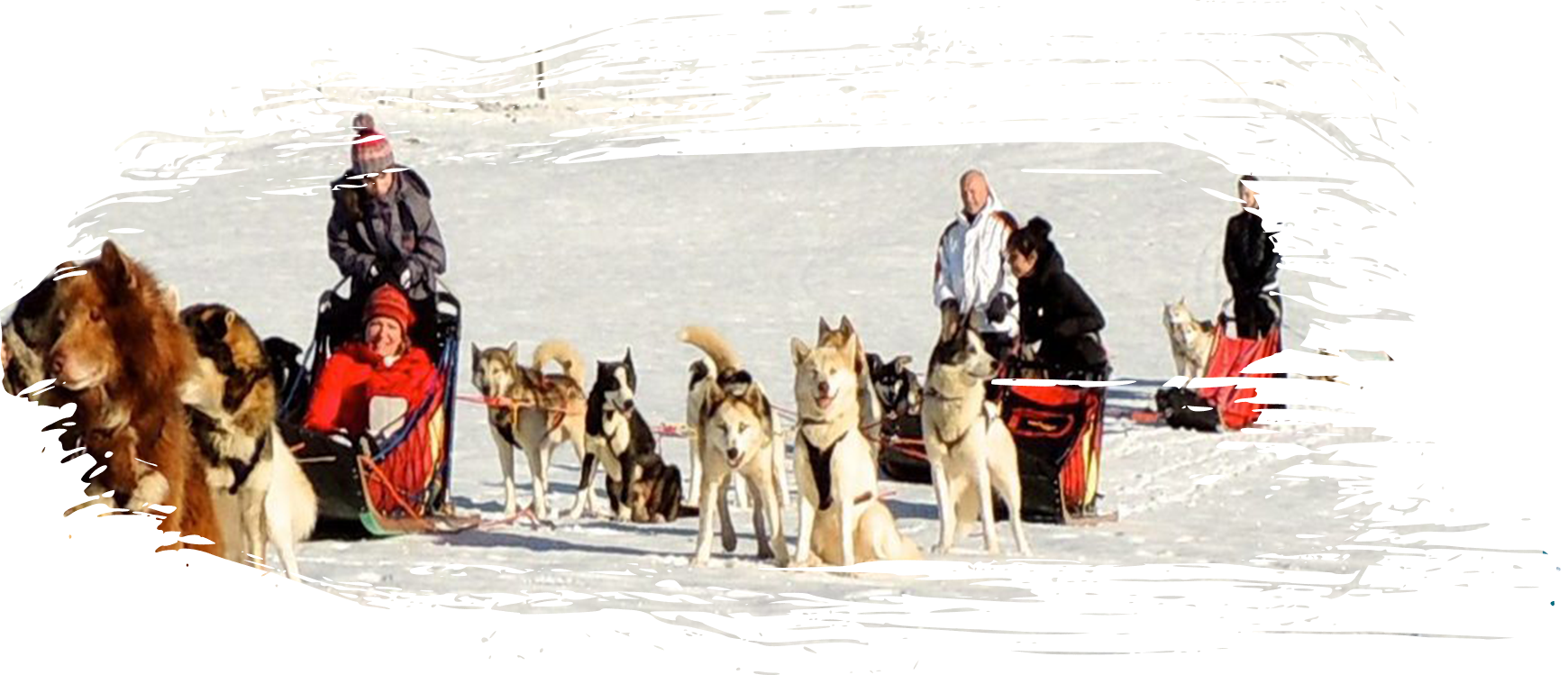 Baptême en traîneau à chiens