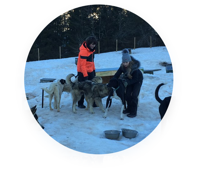 Stage Soigneur Canin - Soir